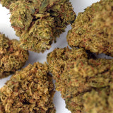 Amnesia CBD