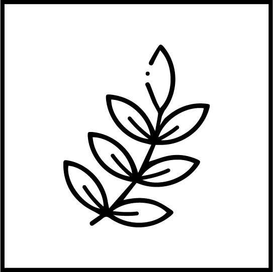 odznak